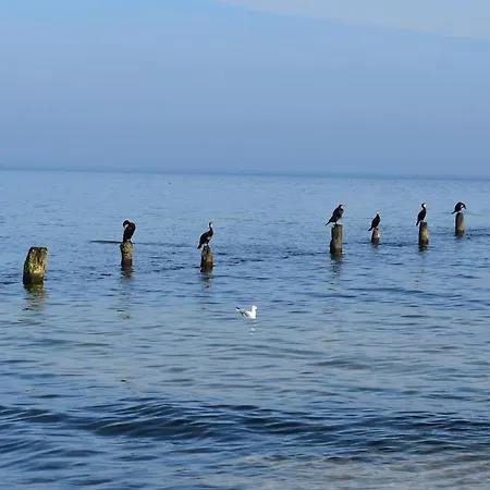 Inselparadies Ahlbeck Alice Appartement *